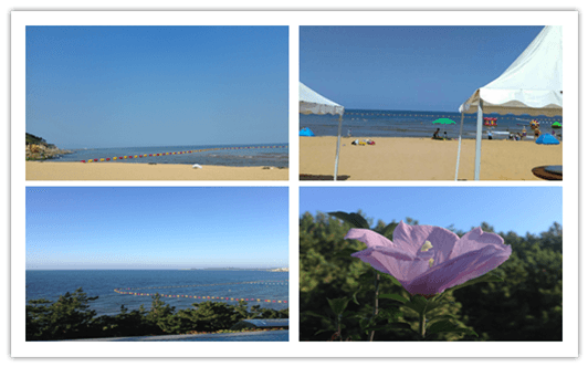 美麗的大海 美麗的大海