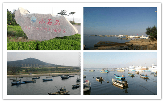 漂泊的船只 漂泊的船只