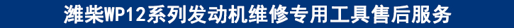 濰柴WP12系列發(fā)動機維修專用工具售后服務.jpg